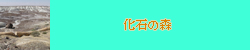 化石の森
