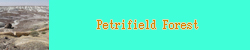 to petrifiles forest